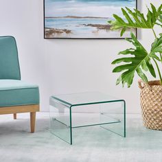 a living room with a blue chair and a green plant in the corner next to a glass coffee table