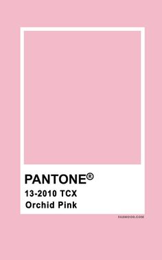 pantone's pink color is shown in this image