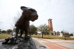 there is a statue of a cat on the ground in front of a building with a clock tower