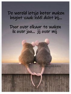 two mice sitting on top of a wall with the caption'do over elgarar te waken ife jer jou, jj over mi '