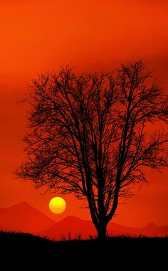 the sun is setting behind a lone tree in an orange and red sky with mountains in the background