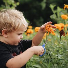 a little boy that is standing in the grass with some flowers on his hand and scissors