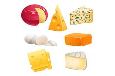 different types of cheese on a white background