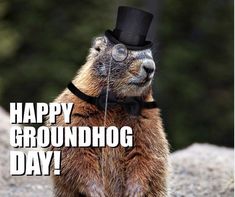 a groundhog wearing a top hat and glasses with the caption happy groundhog day