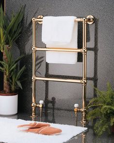 a gold towel rack in a bathroom next to a potted plant and toilet paper