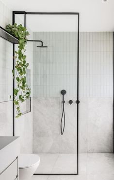 a bathroom with a shower, toilet and plant on the counter top in front of it