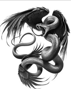 a black and white drawing of a snake with wings on it's back,