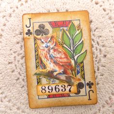 an owl sitting on top of a playing card