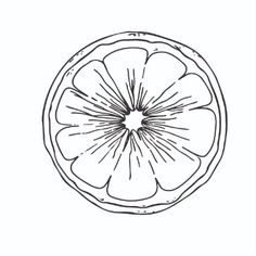 an orange is shown in this black and white drawing, it appears to be half eaten