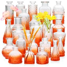 an assortment of glass vases with yellow flowers in the middle and pink ones behind them