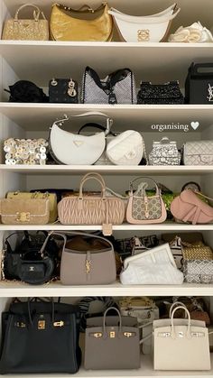 Bag Closet, Dream Closet Design, Expensive Bag, Luxury Bags Collection, Girly Bags, Luxury Lifestyle Dreams, 2025 Vision, Fancy Bags, Bags Aesthetic