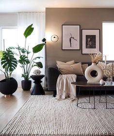 a living room filled with furniture and potted plants on top of a rug in front of a window