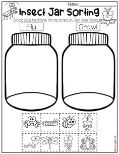 an insect jar sorting worksheet for kids to practice their handwriting and writing skills