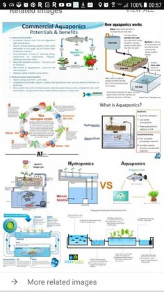 an info sheet with different types of plants and water sources in the text below it