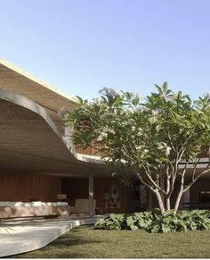 a large tree in the middle of a grassy area next to a building with wooden walls