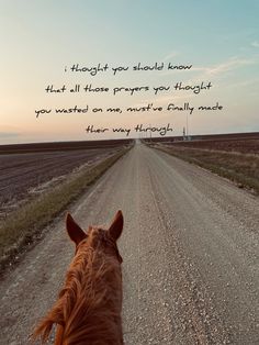 a horse walking down a dirt road with a quote on the back of it's head