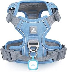 a small blue dog harness with a tag on it's chest and an attached collar