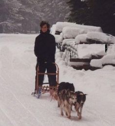 a man on a sled pulled by two dogs in the snow