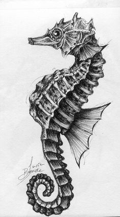 ink drawing, seahorse sketch, biology study Sea Life Line Drawing, Seahorse Scientific Illustration, Underwater Pen Drawing, Detailed Animal Drawings, Marine Life Art Gcse, Marine Animal Sketches, Sea Horse Sketch, Seahorses Drawings, Seahorse Drawing Sketches