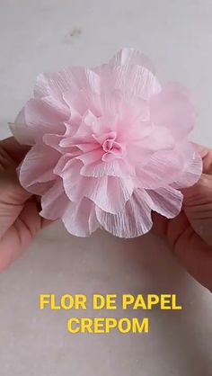 a hand holding a pink flower with the words flor de papel crepom