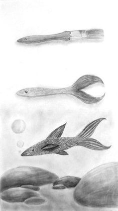 pencil drawing of fish and spoons in water with pebbles on the bottom right hand side