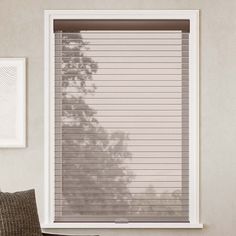 a living room with a couch and window blinds