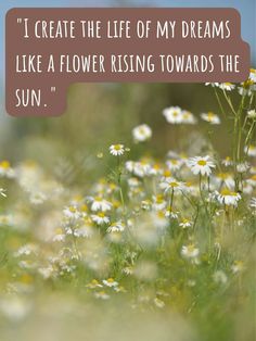 a field full of daisies with a quote on it that reads, i create the life of my dreams like a flower rising towards the sun