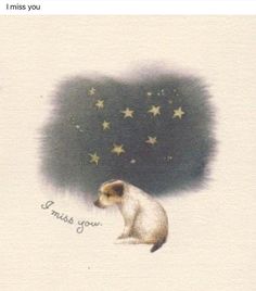 an animal that is sitting down with stars on it's back and the caption i miss you