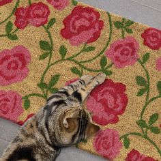 a cat laying on top of a rug next to a flowered area rug with red and green flowers