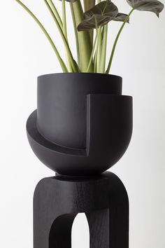 a black vase with some flowers in it