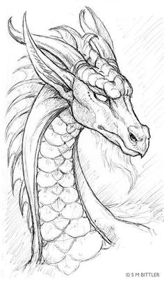 a pencil drawing of a dragon head