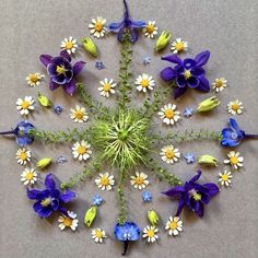 an arrangement of flowers arranged in the shape of a snowflake and daisies