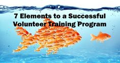 an image of a group of goldfish in the water with text that reads 7 elements to a successful volunteer training program