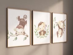 three framed pictures with monkeys hanging on the wall