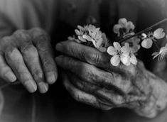 an older person holding flowers in their hands