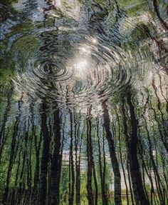 the reflection of trees in water with sunlight coming through them and creating a circular pattern