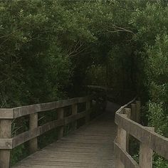 a wooden bridge that is surrounded by trees