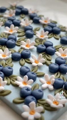 blueberries and white flowers are on top of a square cake with green leaves around the edges