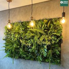 Bathroom with  plants Wall With Plants, Green Wall Plants, Vertical Green Wall, Vertical Garden Plants, Wall Decorating Ideas, Vertical Garden Wall, Wall Decorating