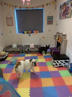 a small white dog standing on top of a multi colored floor covered in puzzle pieces