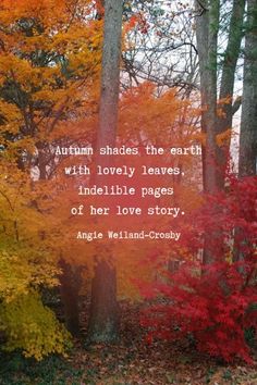 autumn shades the earth with lovely leaves, indelible pages of her love story