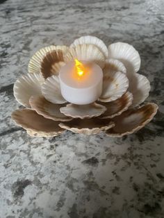 a candle is sitting in a shell bowl