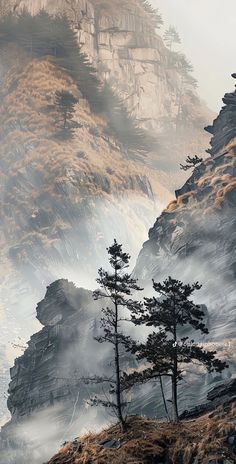 the mountains are covered in fog and mist as trees stand at the bottom of them