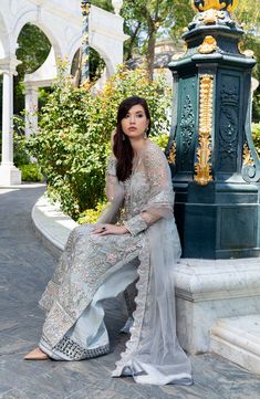 Shamrock Premium Menakari (SFD-0068) Formal Chiffon Collection 2022 Original brand suit fabric and photography lite diffrance in actual print. Chiffon Collection, Photography Pricing, Net Dupatta, Suit Fabric, Designs For Dresses, Pakistani Outfits, Post Wedding, Pakistani Fashion, Designer Wear