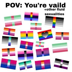 the poster is designed to look like colorful squares and rectangles with text that reads pov you're valid - other fluid sexualities