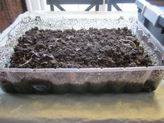 a plastic container filled with dirt sitting on top of a table