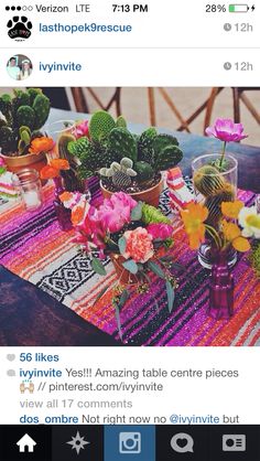 a table topped with potted plants on top of a wooden table covered in colorful cloth