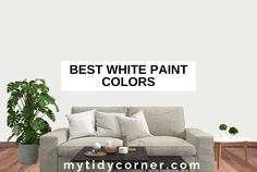 a living room with white paint colors on the walls