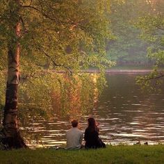 two people are sitting on the grass looking out at the water and trees in the background