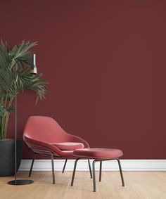 two chairs and a potted plant against a red wall